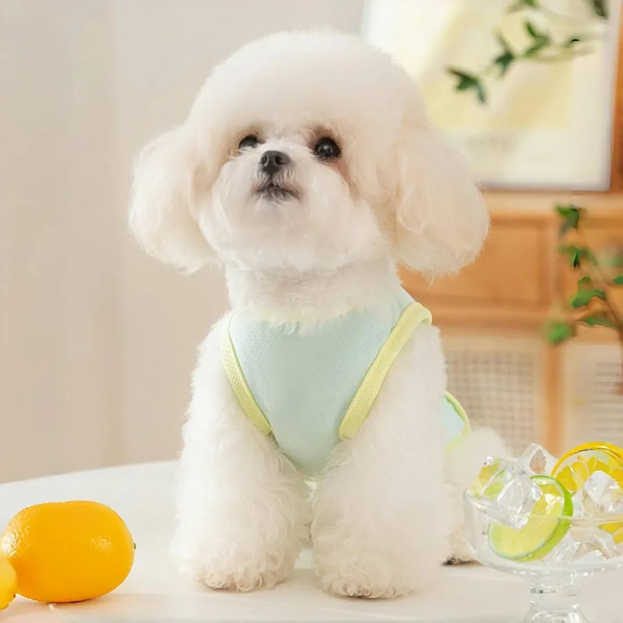 سترة تبريد للكلاب تي شيرت صيفي للحيوانات الأليفة قابل للتنفس سريع الجفاف للكلاب والقطط أزرق أخضر صغير (3.35.5 رطل) #5