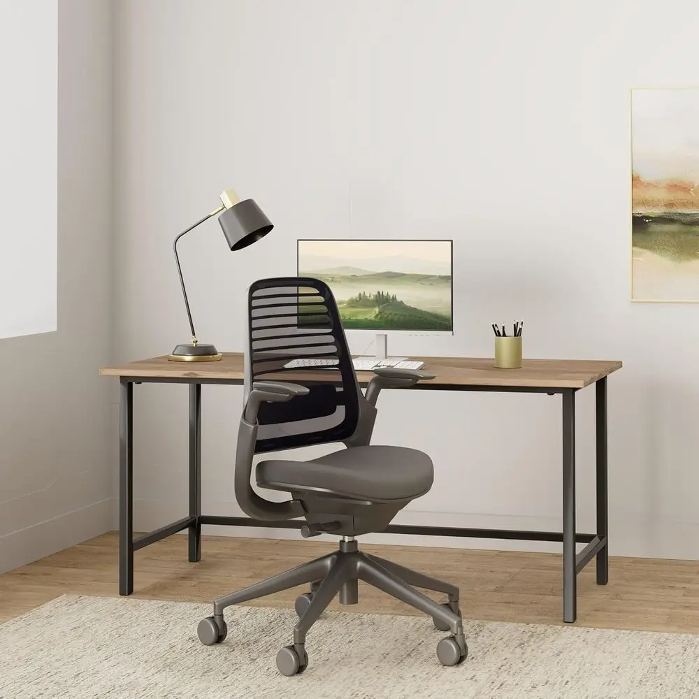 Ergonomic Office Chair with Wheels/Carpet - Adjustable Weight-Tuned Controls, Back & Arm Support - Easy Assembly - Graphite