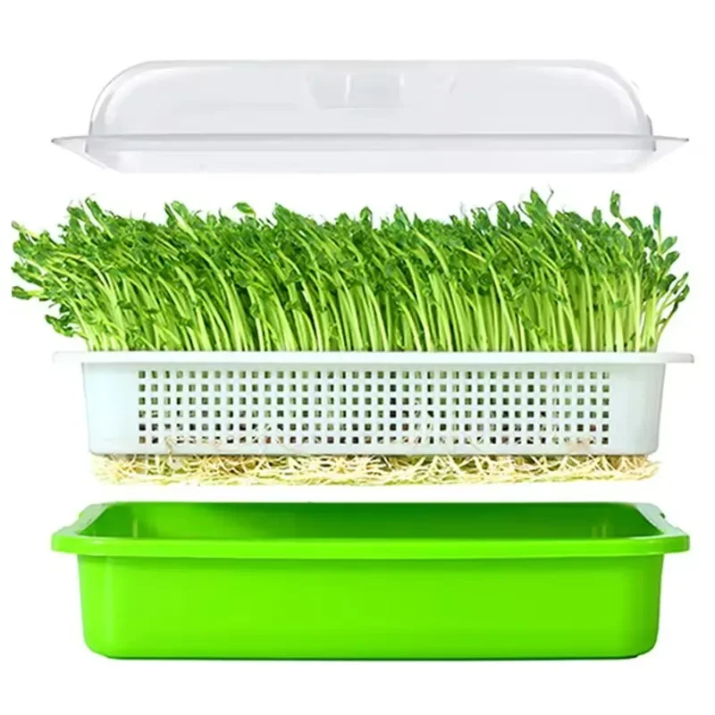 

Seed Sprouter Tray PP Soil-Free Big Capacity Healthy Wheatgrass Grower with Lid Sprouting Kit