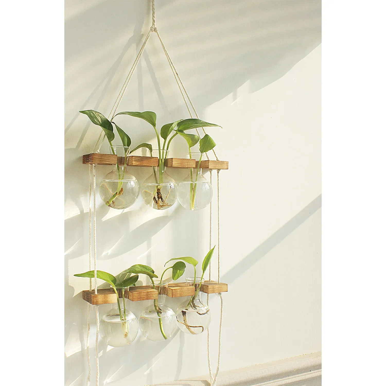 

Plant Propagation Station Wall Hanging Glass Vases Plant Terrarium with 2 Tiered Wooden Stand for Propagation Hydroponics Plant