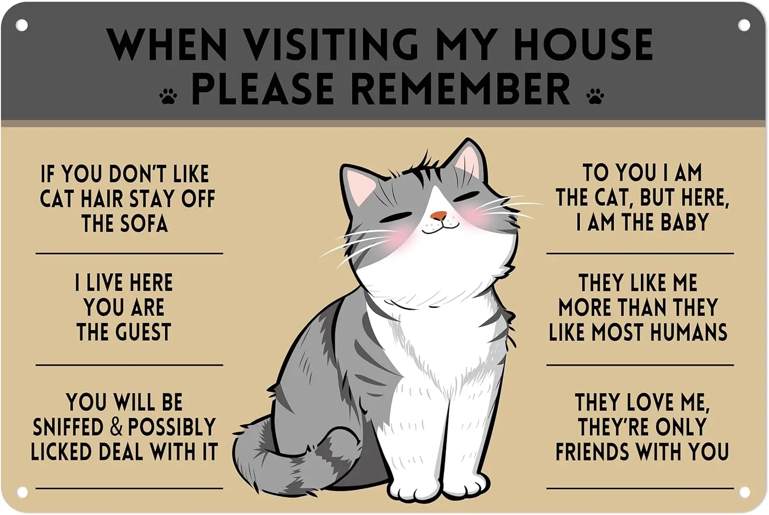 Cat Lover Aluminum Sign - “When Visiting My House” Themed Metal Decor Funny Home Living Room Wall Art for Owners (133)