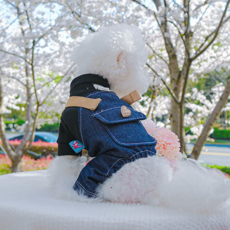 

Black Punk Dog Suspender with Leash Hook, Spring Summer New Pet Clothes for Small Medium Dogs, Adjustable Puppy Romper