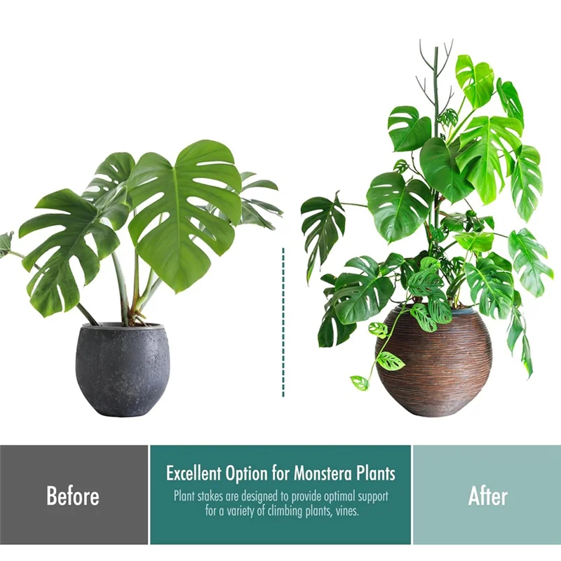 A53Q-أوتاد دعم النباتات أوتاد نباتات عمود الطحلب لتسلق النباتات للنباتات الداخلية باللون الأخضر