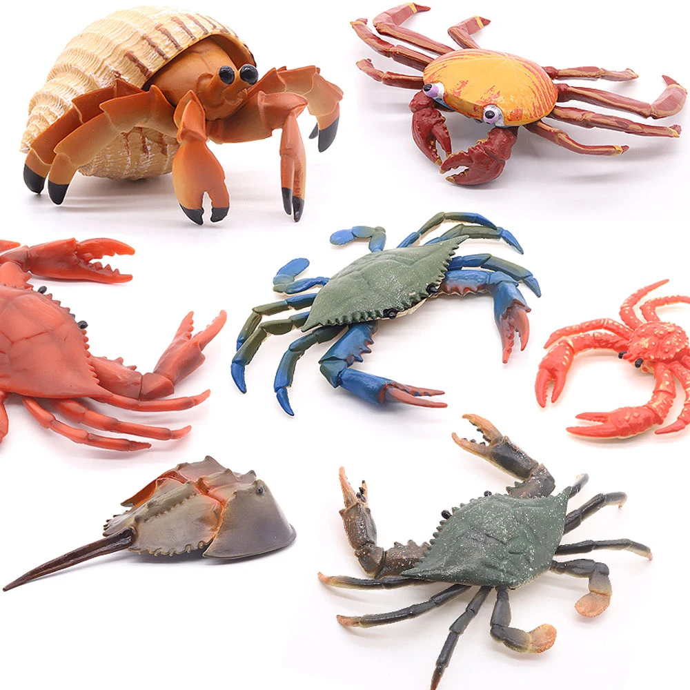 baby kids children toys sea an - Kids Toys Shop 评论和价格