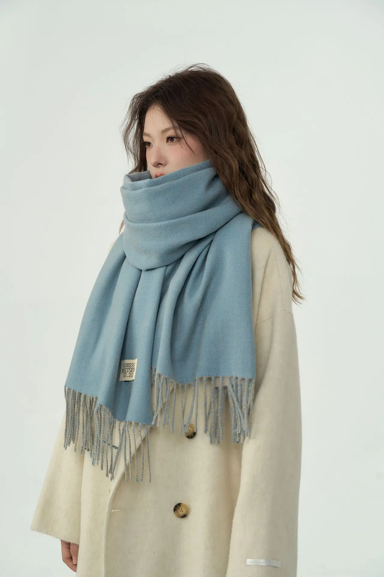 Solid Color Double-Side Cashmere Winter Women Scarf Korea Style Warm Shawl Outdoor Neckerchief Pashmina Tassel Lady