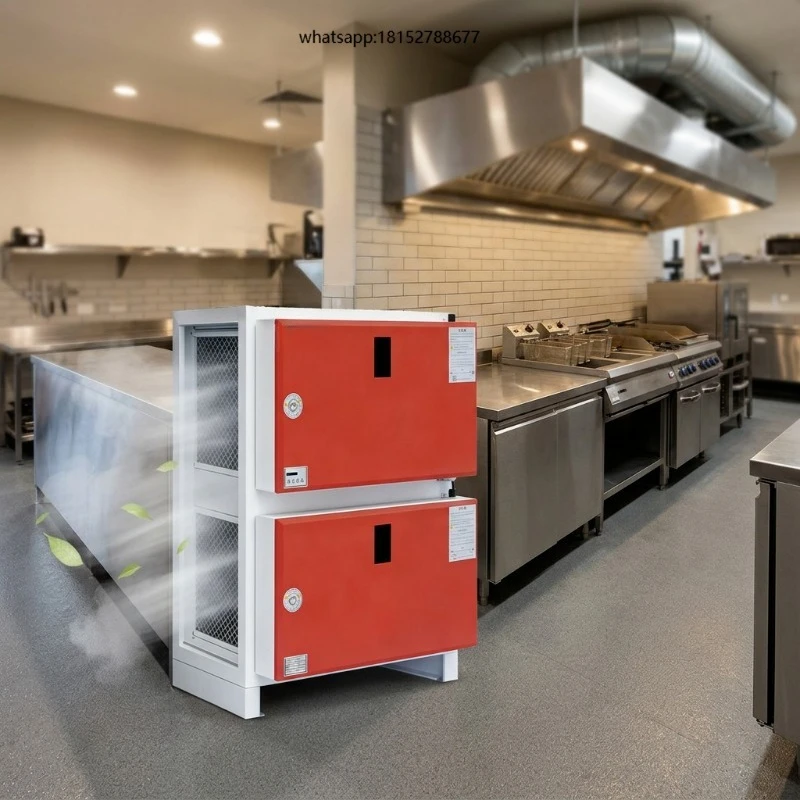 24000 M/h Low-Level Electrostatic Fume Purifier 95% Efficiency for Commercial Restaurants BBQ Kitchens
