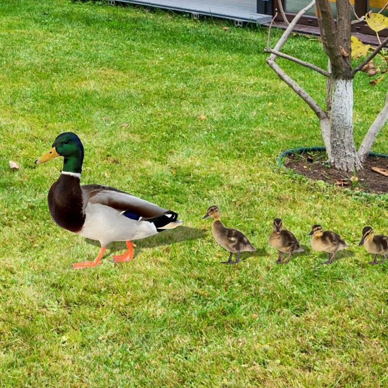 Decoración libre, letreros césped patos para jardín, decoración envío directo