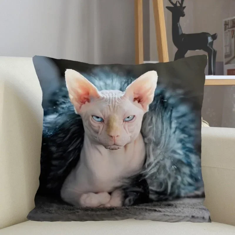 Musife- Funda de almohada Personalada de gato Sphynx, 45x45cm, con cremallera cuadrada, envío Dir dir dir dir dirdo, 04,24