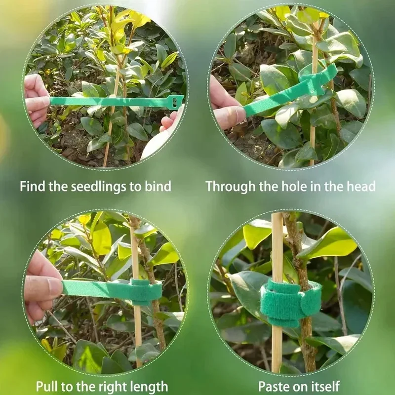 Nylon Plant Ties Non-Slip Tie Loop Adjustable Plant Support Velcro Cable Ties Reusable Fastener Tape for Home Garden Accessories image 3