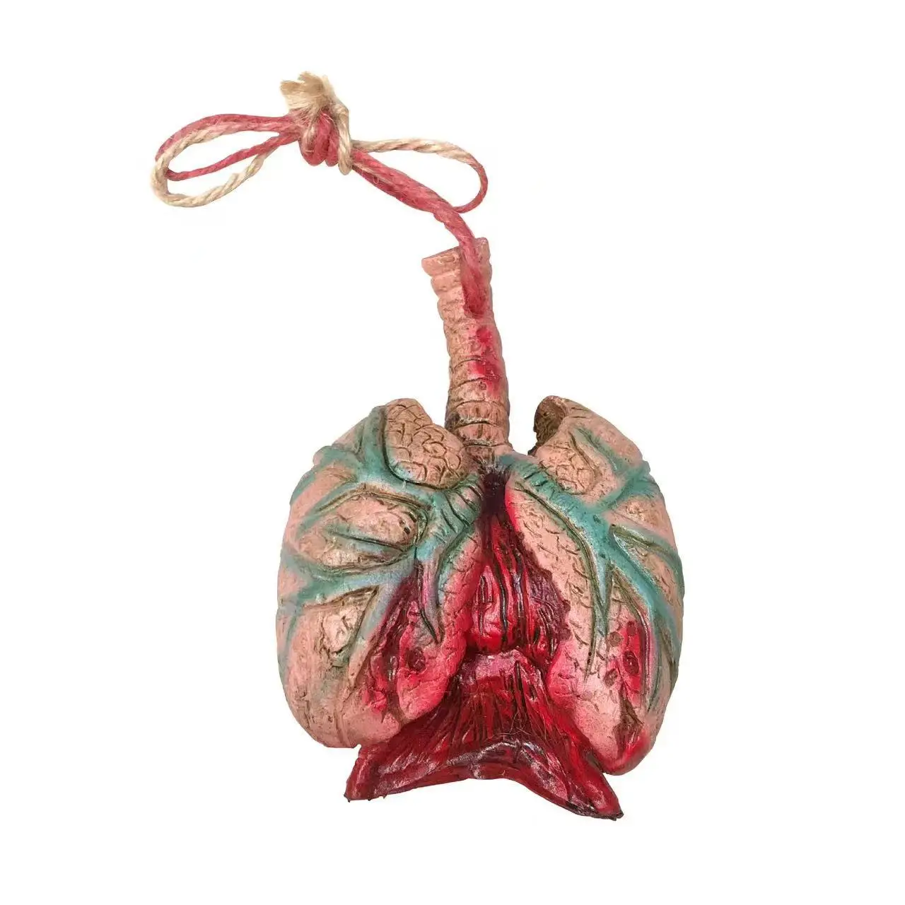 폐 교육 키체인, 인간 모델 키링, 뇌, 심장, 폐, 간, 위, 대장, 신장 모델 키체인