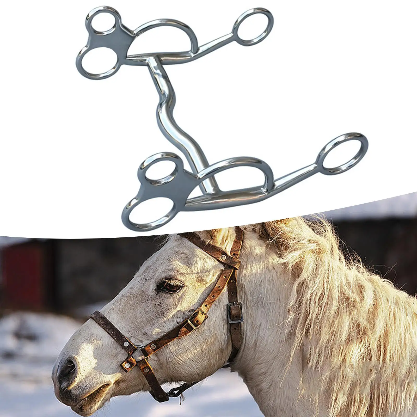 Horse Bit H Shape Horse Tack สําหรับอุปกรณ์การฝึกอบรมม้าเคี้ยวขี่ม้า