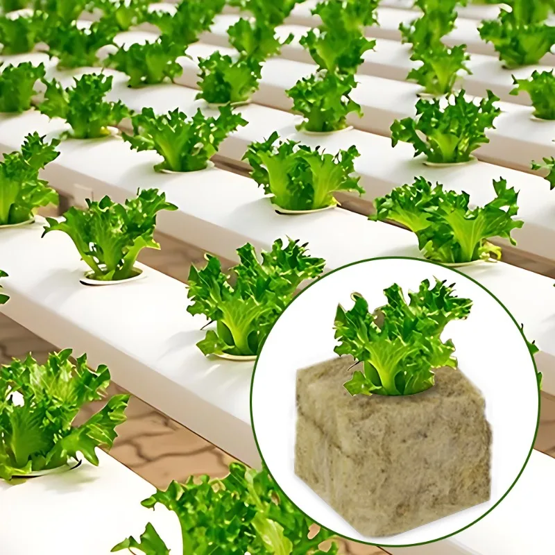 Stonewool Hydroponic Grow Media Cubes Garden Seedling Planting Sponge Block Garden Water Cultivation Seed Sowing Culture Block