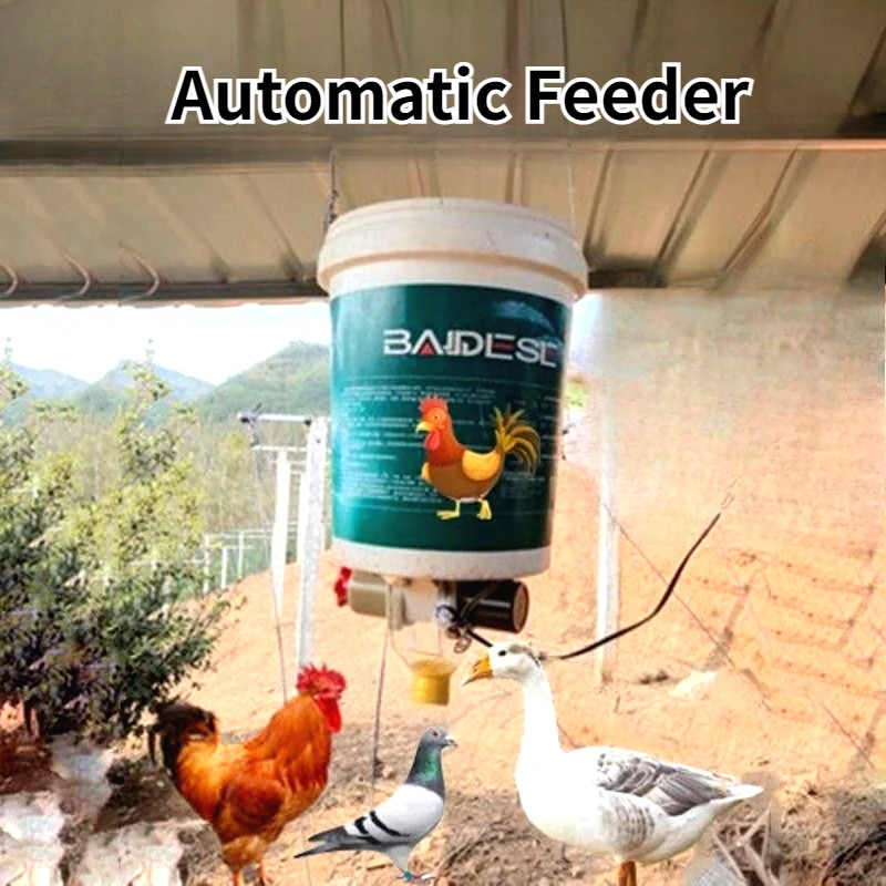 

Автоматическая кормушка для кур, голубей и уток 220В, с таймером, для автоматического кормления, для домашней птицы