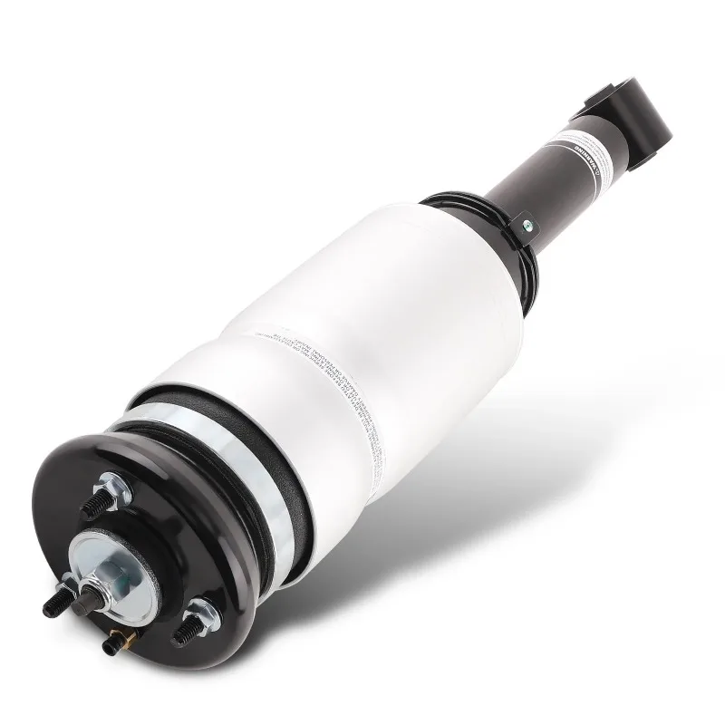 Front Air Ride Suspension Strut for Land Rover Discovery LR3 LR4 L319 2005-2009 RNB501180 RNB501250 RNB501460