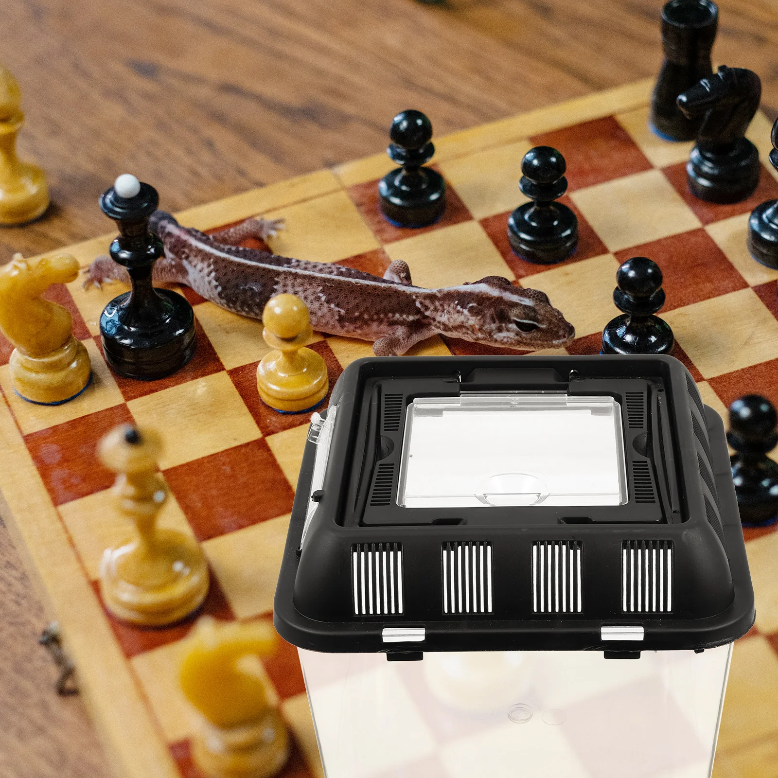 

Reptile Breeding Box Transparent Durable Ventilation Holes Spider Feeding Case Practical Climbing Pet Holder Display Container