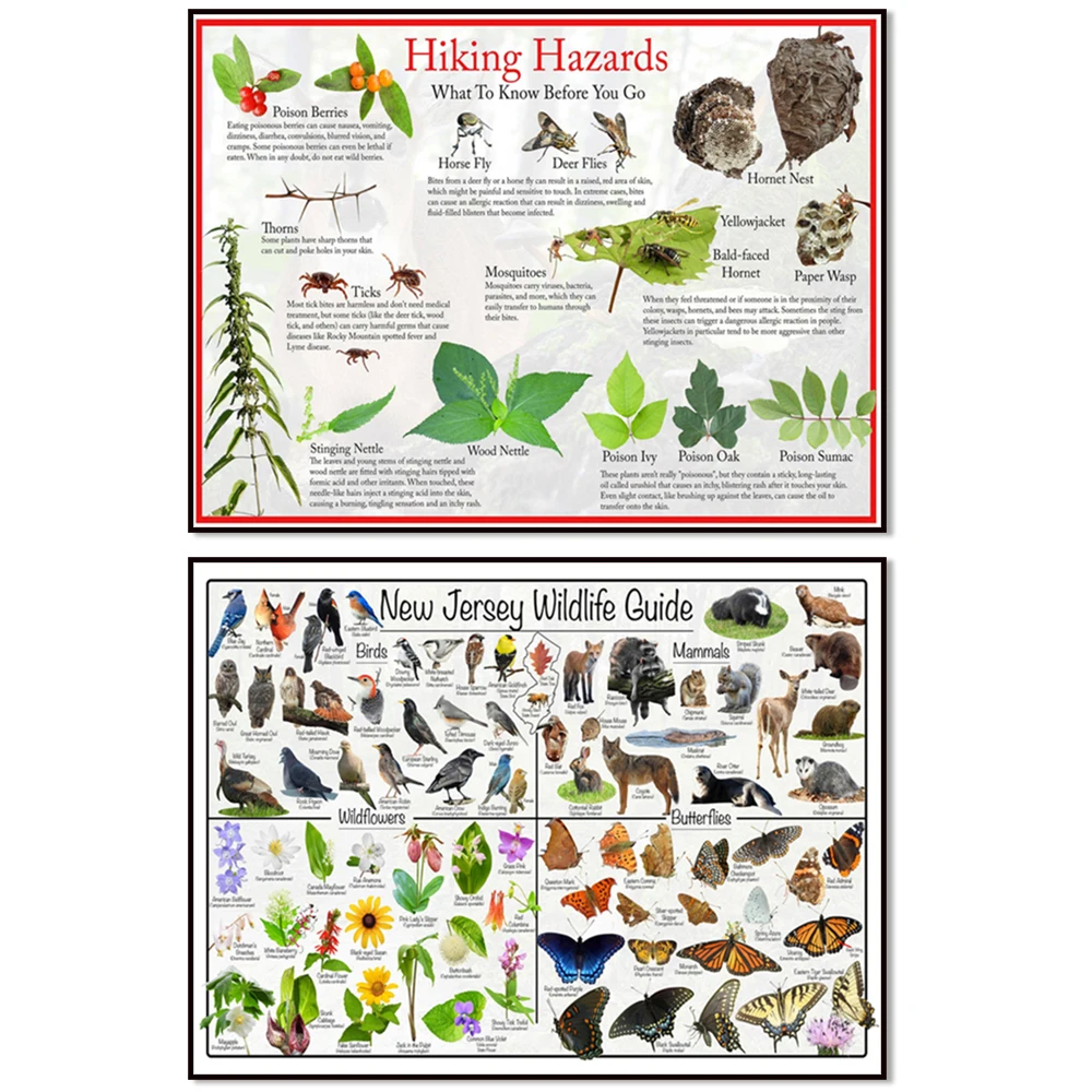 Michigan wildlife guide poster, Idaho birds, mammals, wildflowers and butterflies, hiking dangers educational nature poster