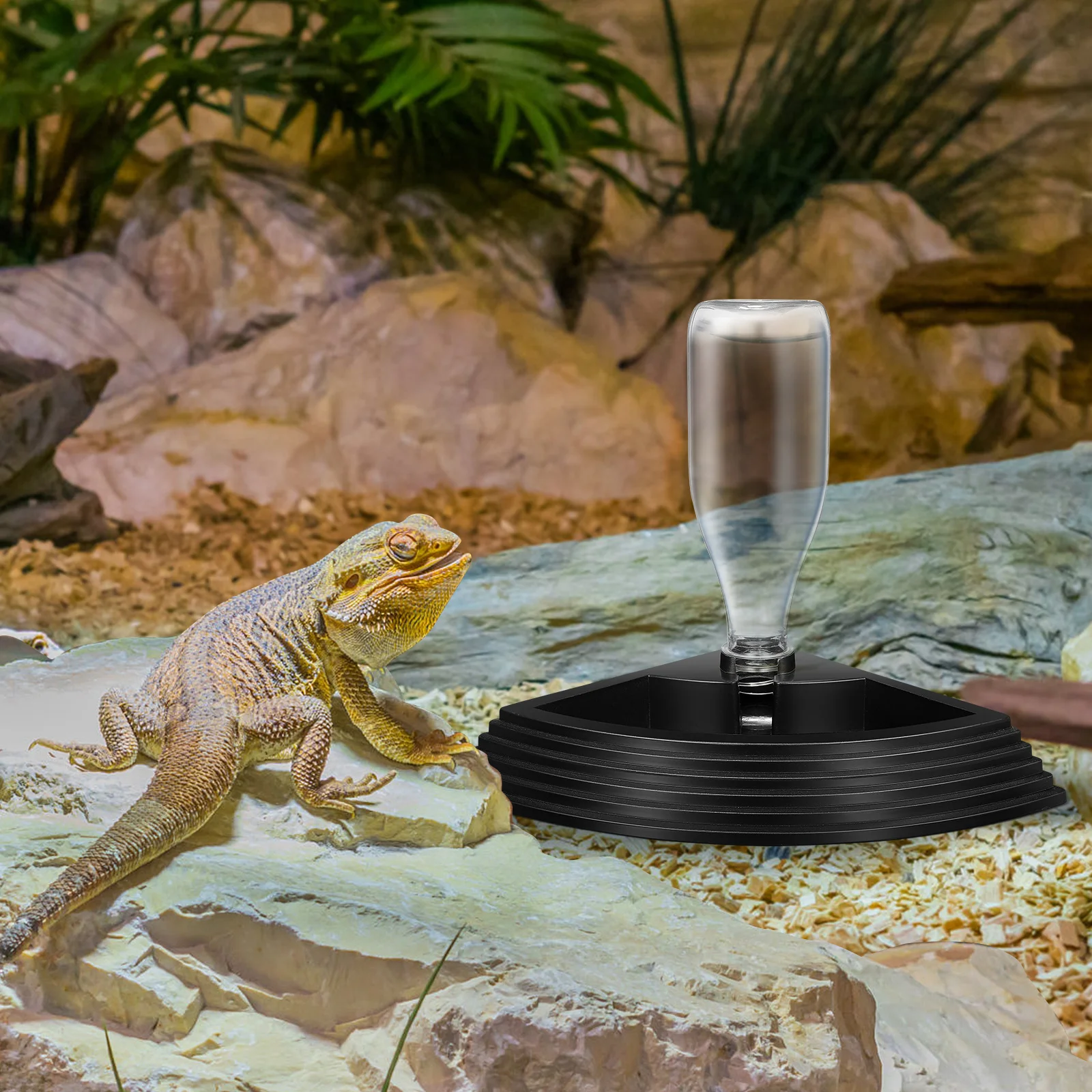 

Black Reptile Water Dispenser Automatic Feeder Durable ABS Material Suitable for Tortoise Lizard Spider Pet Supply