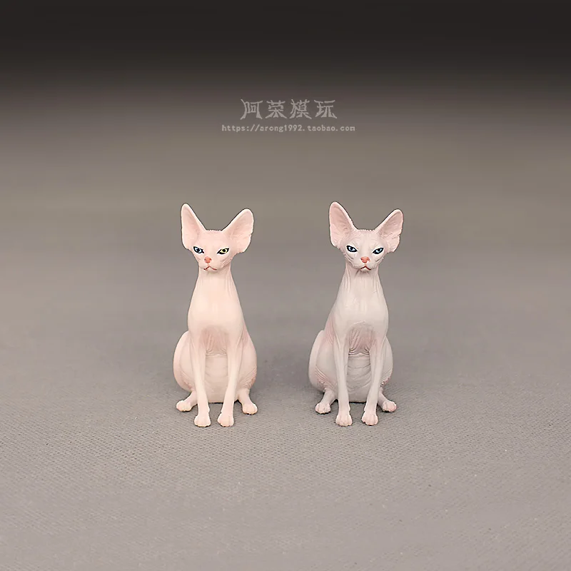 Simulazione cognitiva Pet Cat Modello animale Sphynx Cat Gatto senza peli Ragdoll Action Figures Accessori per ornamenti Giocattoli in miniatura
