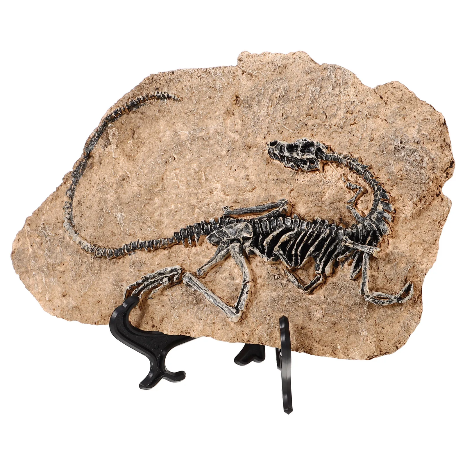 

Resin Made Dinosaur for Home Office Decor Educational Tool for Children Paleontology Interest Collection Specimen