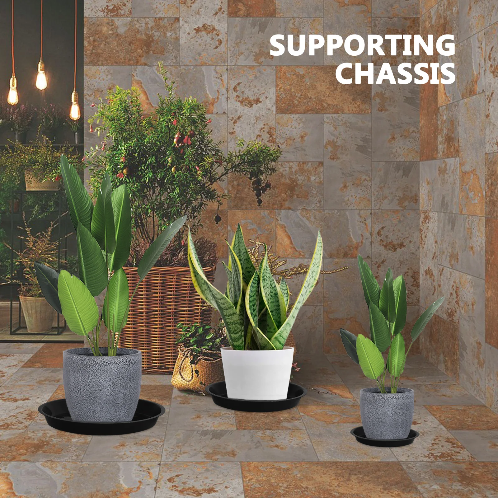 

12pcs Black Plant Saucer Tray Round Pp Drainage Drip Catcher For Indoor Plants Garden Office Succulent Pots Plastic Water Base