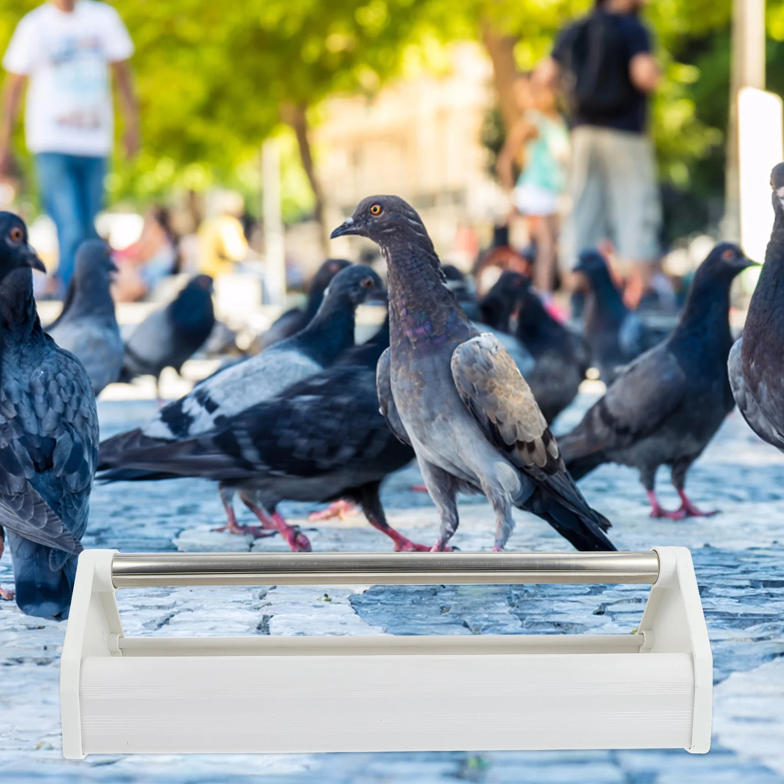 

Pigeon Chicken Duck Trough Feeder Birds Feeding Groove Container Supplies Cage Anti Drop Quail Lightweight Durable Pet