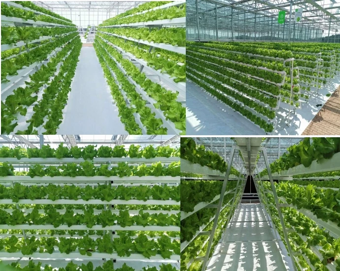 f المعدات الزراعية الدفيئة تنمو الفطر الخضار الفاكهة العمودي مزرعة نظام البرج المائية غلاف زراعة داخلي