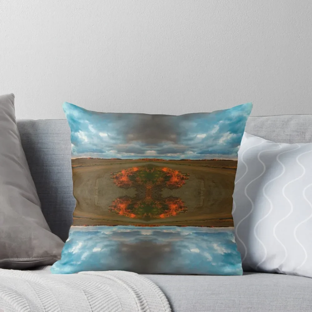 Metamorphosis # 8 Throw Pillow Custom Cushion Photo luxury home accessories pillow