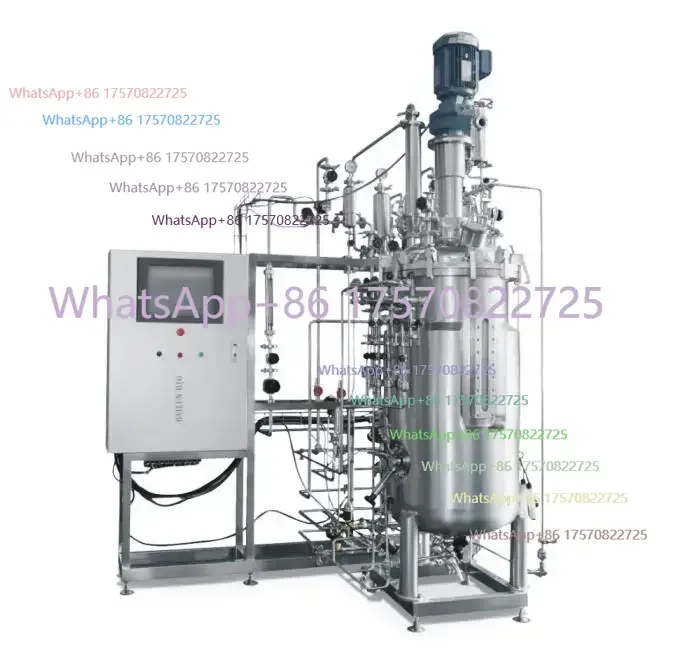 amylase enzyme in stainless steel packed bed fermenter fermentation yeast production line