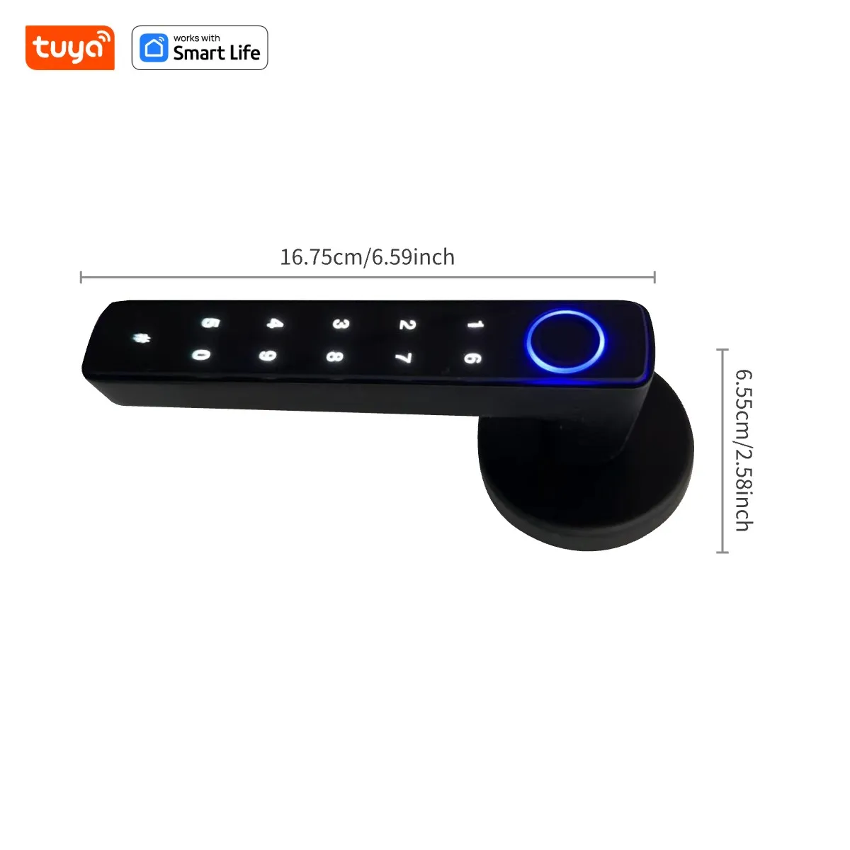 Tuya Fingerprint Door Lock, 4 in 1 Smart Door Knob( Passcode/Smart APP/Fingerprint/Backup Key)