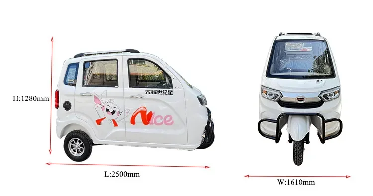 Best-selling tricycle low speed high-end fully enclosed electric household tricycle Electric tricycle