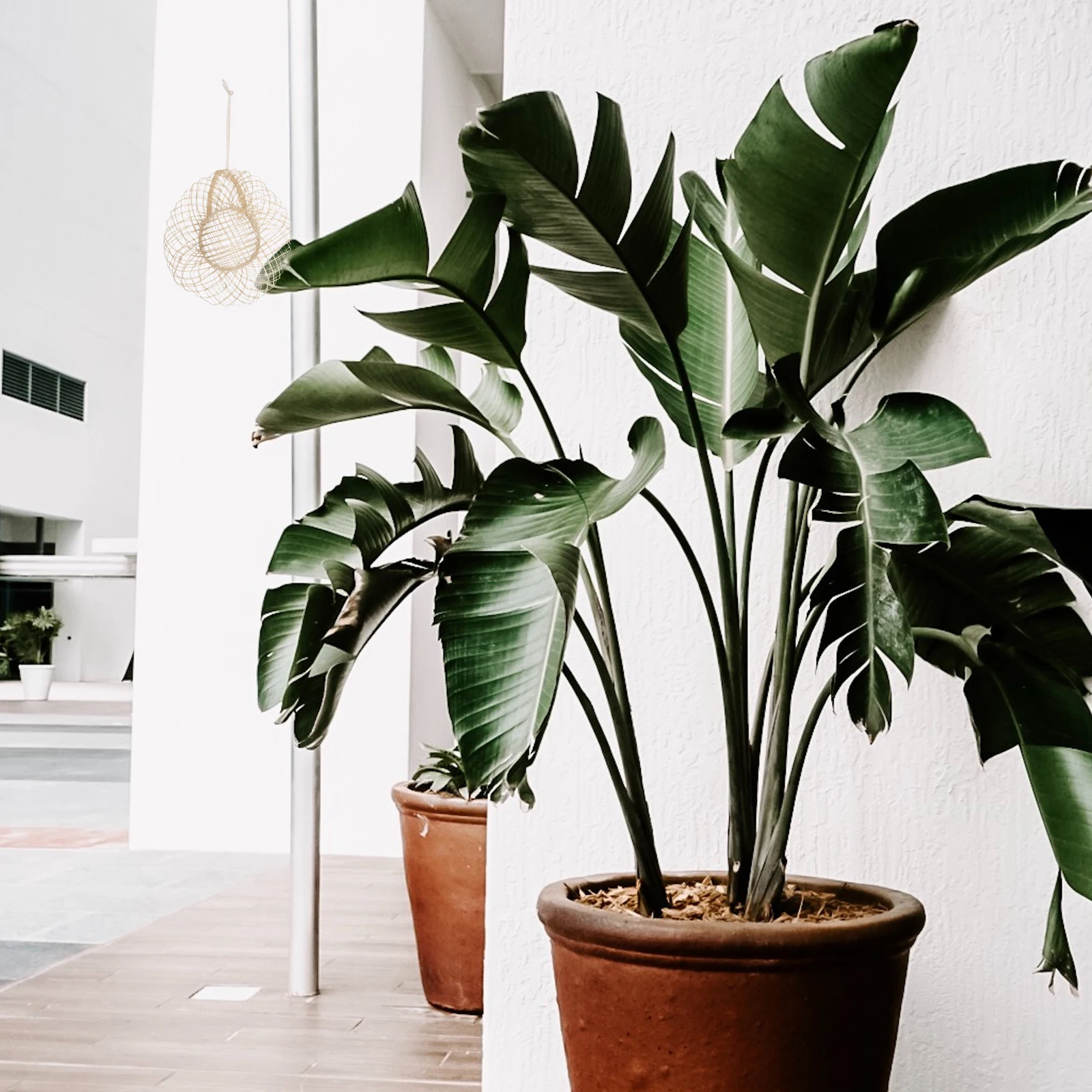 

24 Pcs Mini Hat Decoration Imitation Straw Knitting Hats Accessories Linen Yarn