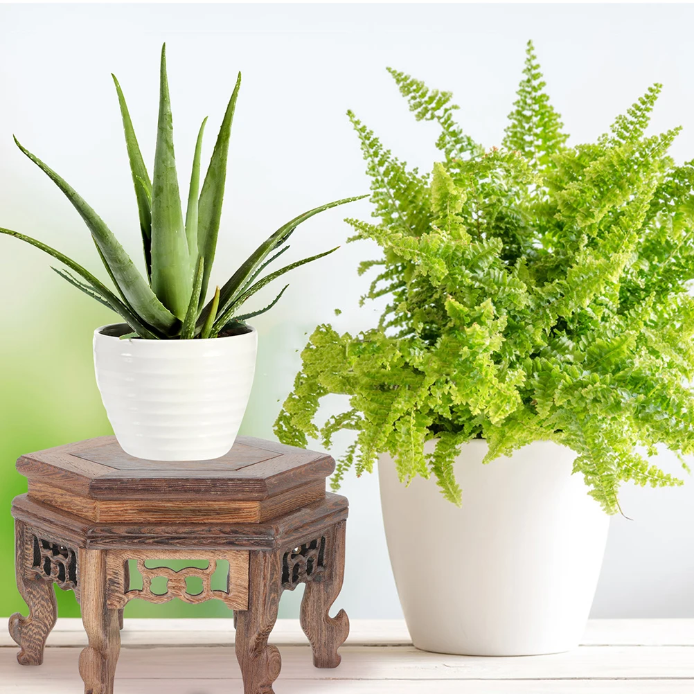 

Display Stand Hexagonal Table Base Desktop Wooden Modern Tabletop Flower Stands