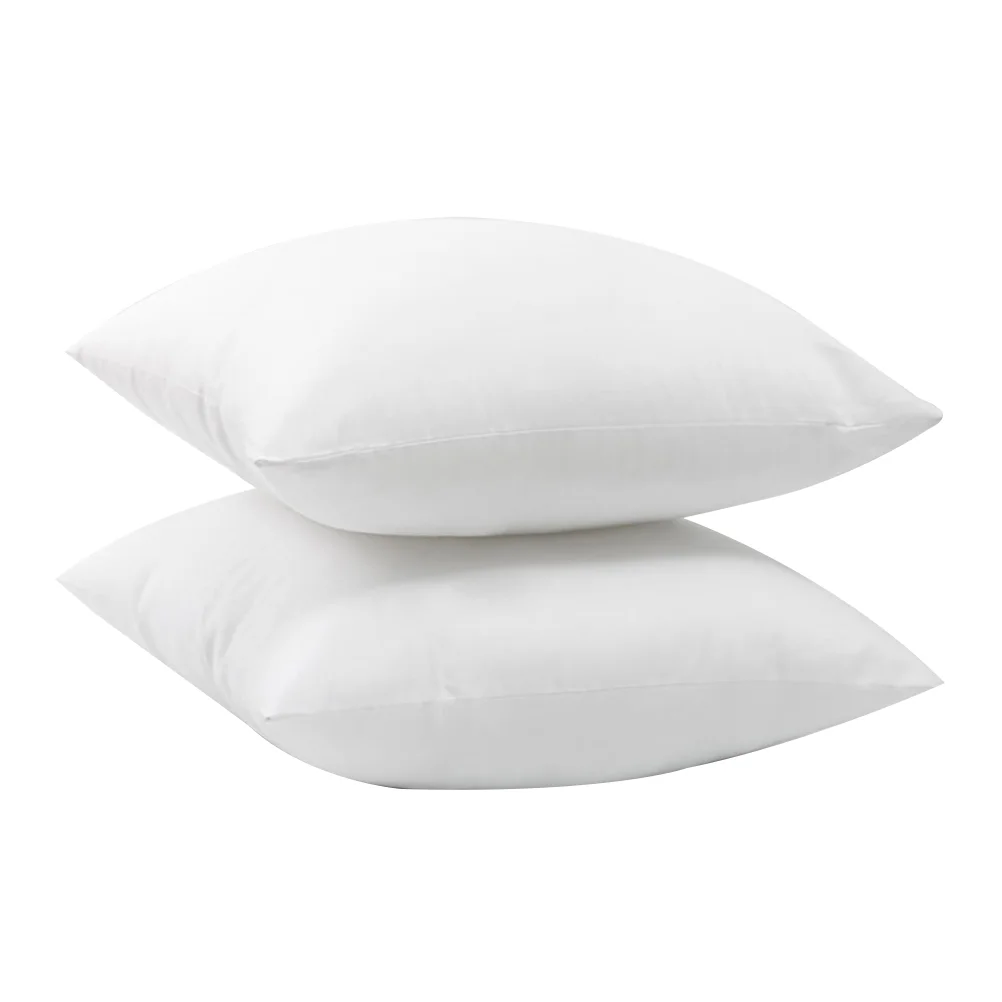 

2 Pcs Pillow Core Throw Pillows Cushions Pillowcases for 50*70 Para Couch Filling Inserts Car