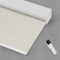 High Quality Modern Smart Automated Wireless Remote Control Motorized Zebra Roller Blinds for Windows