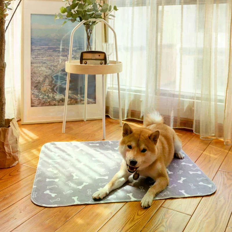Puppy Pads Pheromones Washable Pee Ultra-Durable 4-Layer Leak-Proof Training Mats Non-Slip Bottom No Leak Safe Hold