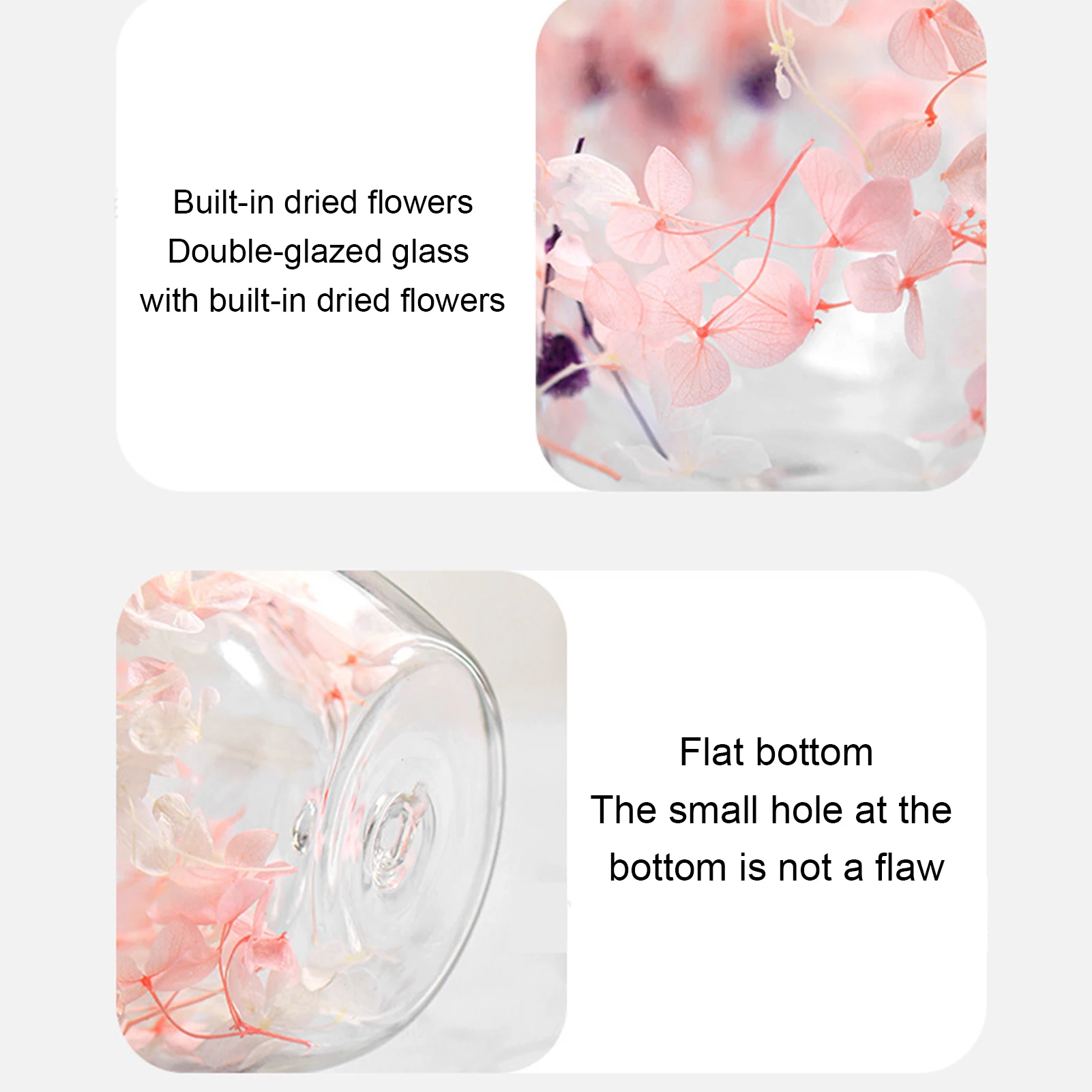 Double Walled Glass Coffee Mugs 350ml Clear Double-Layered Dried Flower Cups Flower Mugs with Handle Heat Resistant Aesthetic