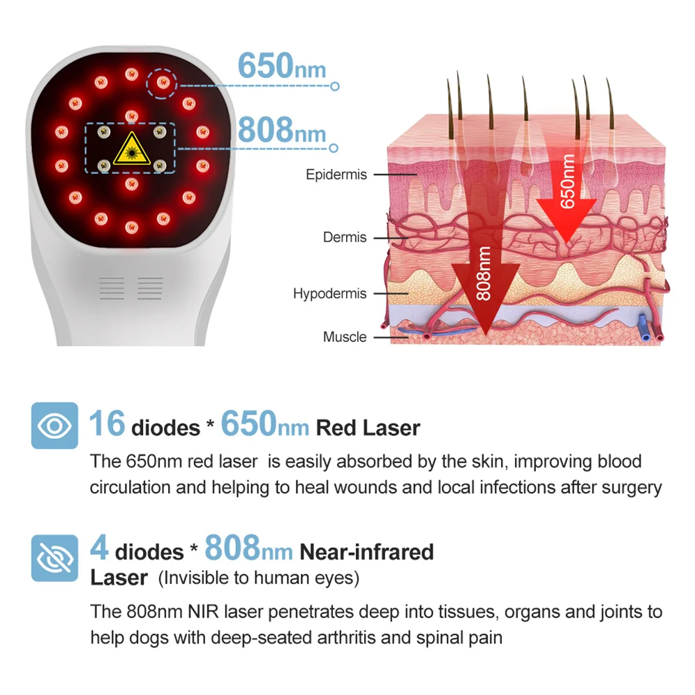 ZJZK Class 3B 808nm*4 650nm*16 Handheld Low Level Laser Physiotherapy Instrument for Dogs Cats Laser Muscle Therapy for Horses