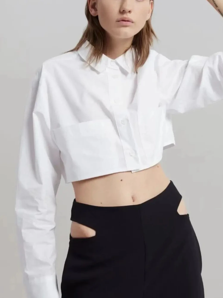 

Women's Single-breasted Top Two Colors Pleated Blouse Tops Female Long Sleeve Short Shirt Slim Waist Sexy