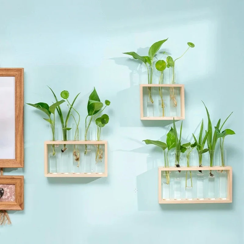 

Wall Hanging Test Tube Glass Vase Decoration Creative Wooden Frame Hydroponic Plant Container Plant Shelf Home Decoration