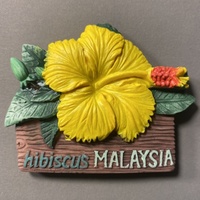Malaysia, Hibiscus， creative paintings, fresh flowers, magnetic refrigerator stickers, travel souvenirs, home magnets,
