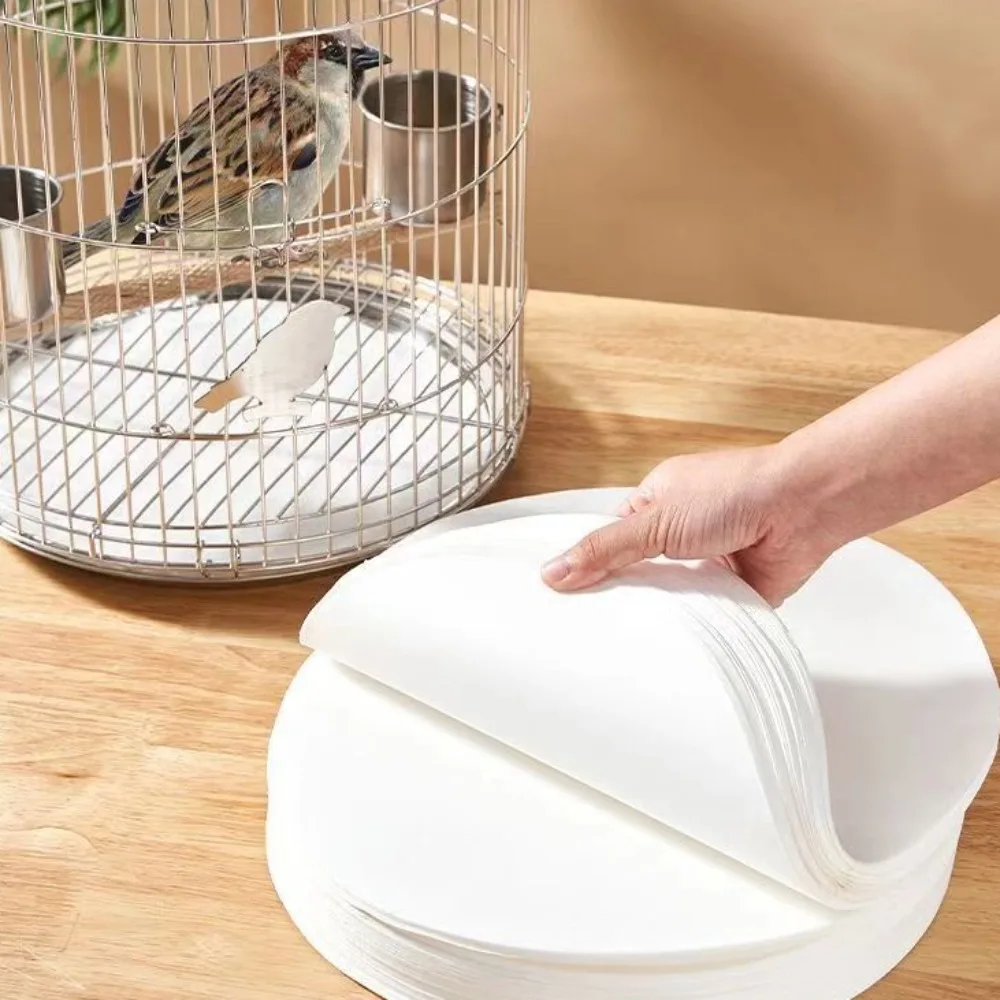 Thumbnail 4 - #66 Best Bird Supplies to Buy In 2026