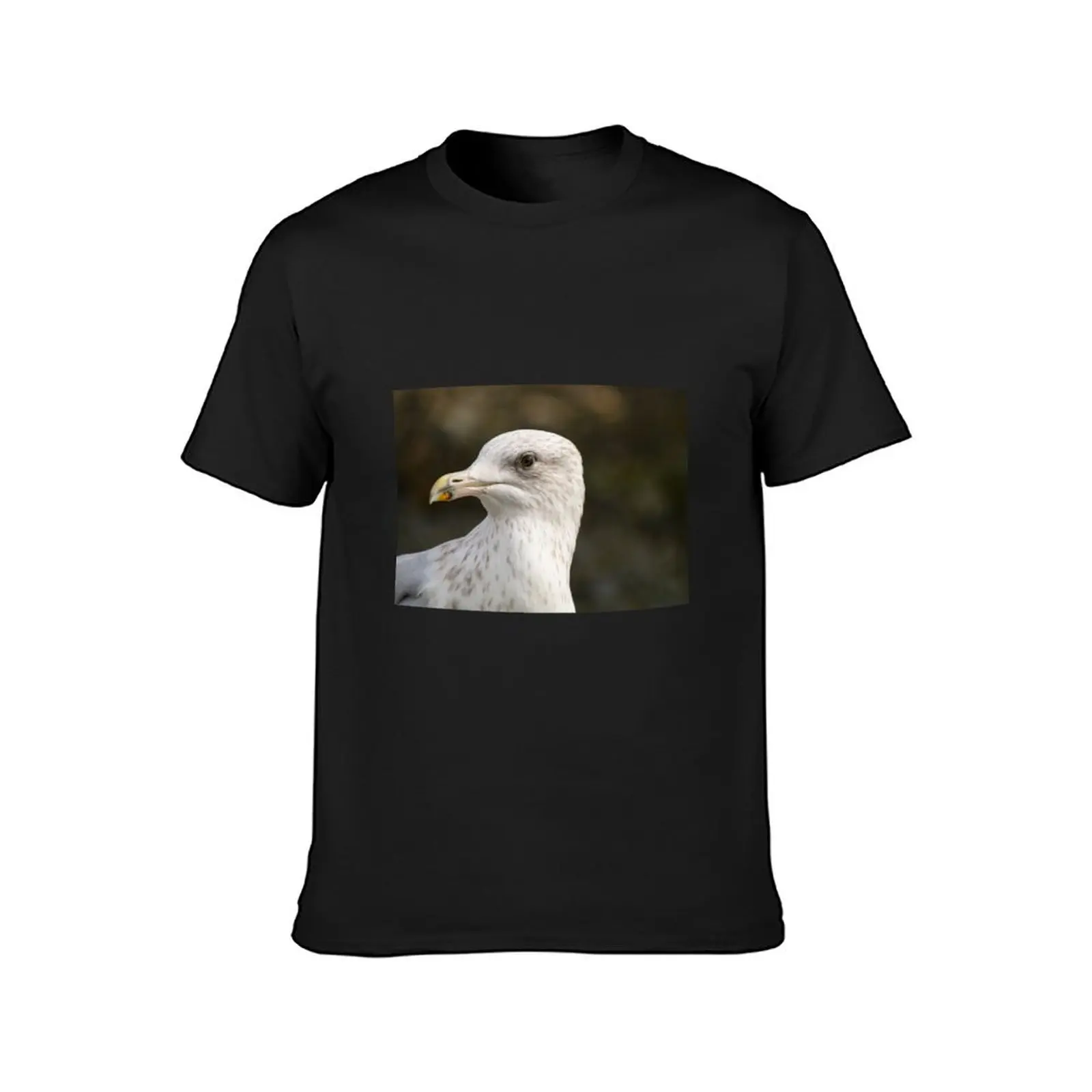 2nd winter Herring Gull T-Shirt for a boy quick-drying customs mens t shirts pack