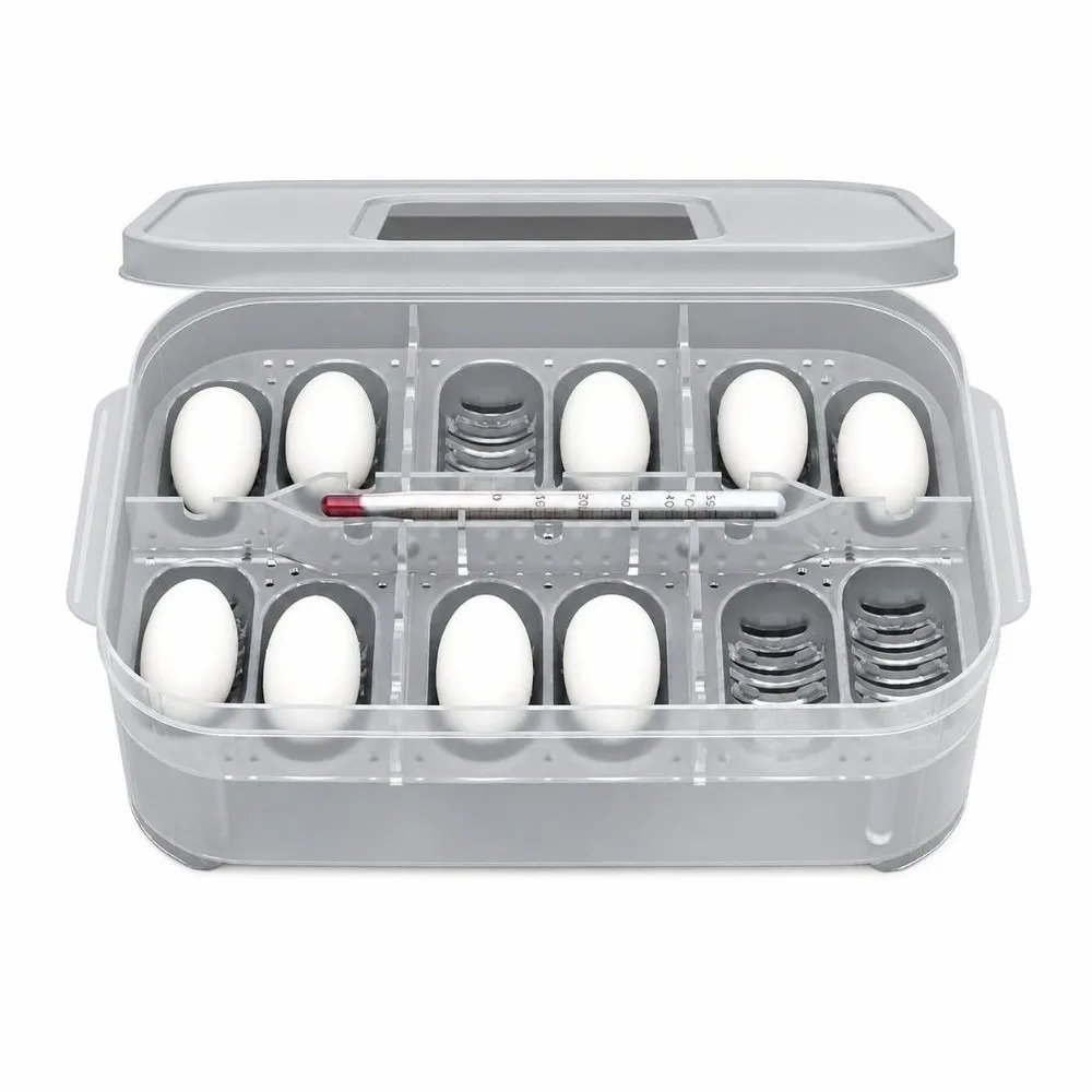 ABS Reptile Egg Incubator With Thermometer Hatching Container Reptile Breeding Box Egg Tray Included Clear Lid