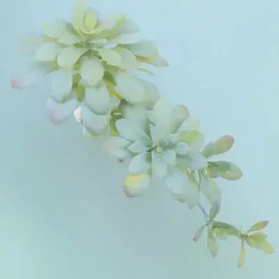 

Alipis 1pc High Simulation Artificial Plant Faux Outdoor Decor Fake Bonsai for Plastic 27cm