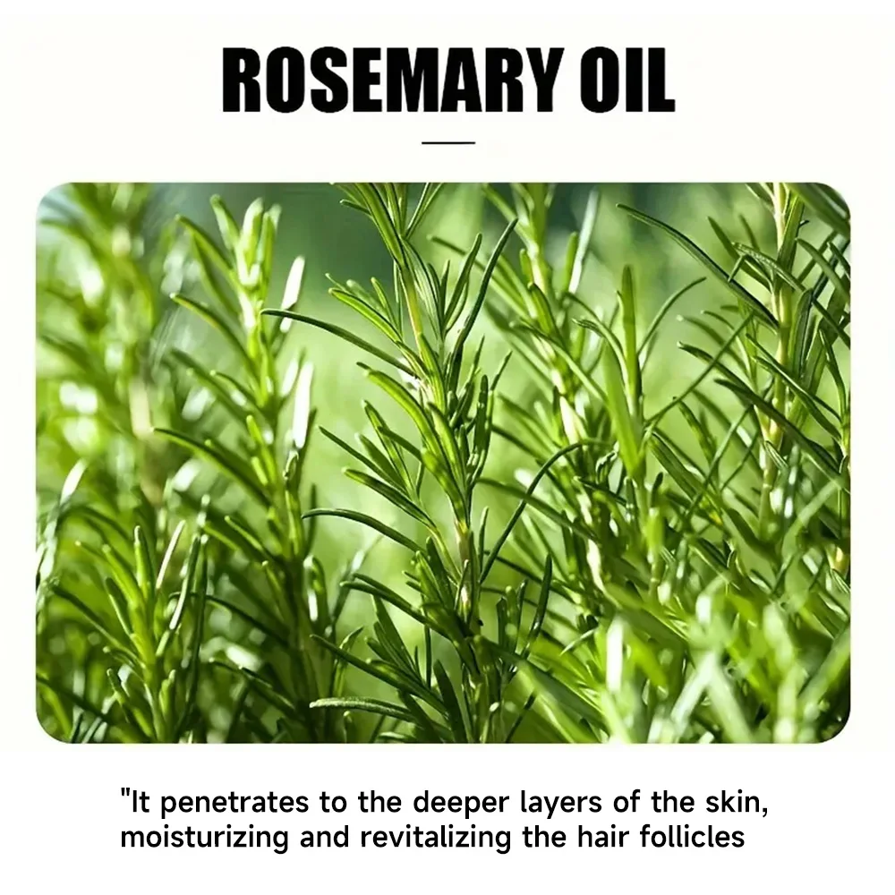 Oli essenziali per la crescita dei capelli con olio essenziale di rosmarino 30ML/50ML Oli essenziali per capelli naturali puri per nutrire i capelli lucenti Cura sana dei capelli