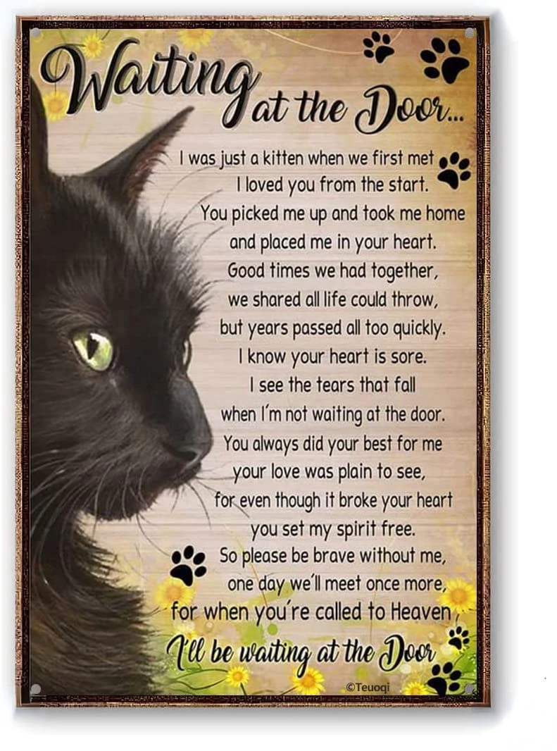 

Vintage Halloween Tin Sign Black Cat Waiting at The Door I was Just A Kitten When We First Met Wall Art Decor Decoration Pub