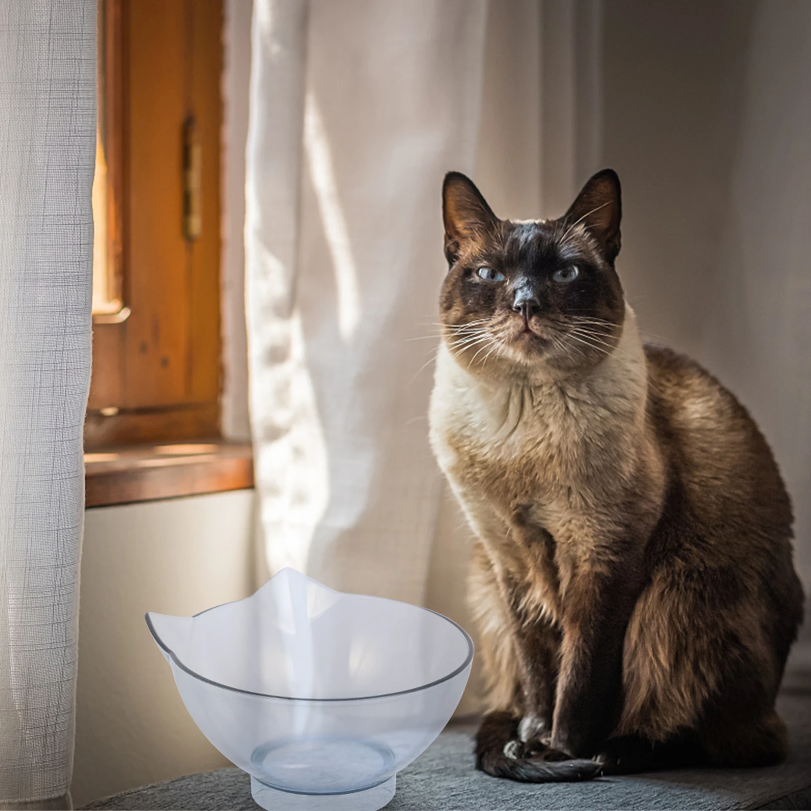 

Anti-Slip Transparent Pet Feeding Bowl Elevated For Small Dogs Cats Detachable Base Plastic Food Water Container Kitten