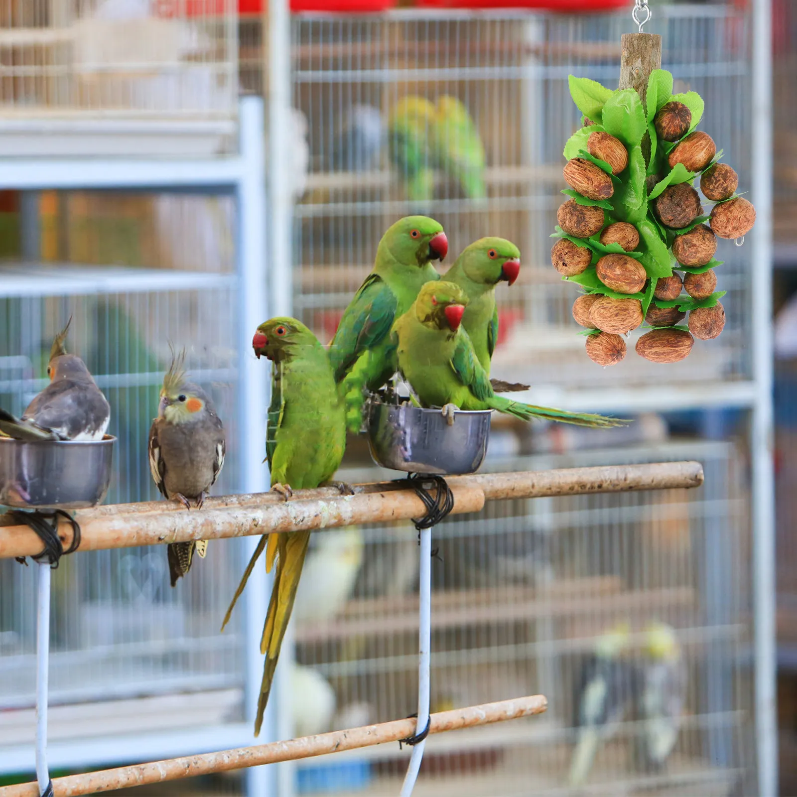 

Жевательная игрушка-кольцо для попугаев с креплением на клетку, для стачивания клюва, аксессуар для жевания для птиц