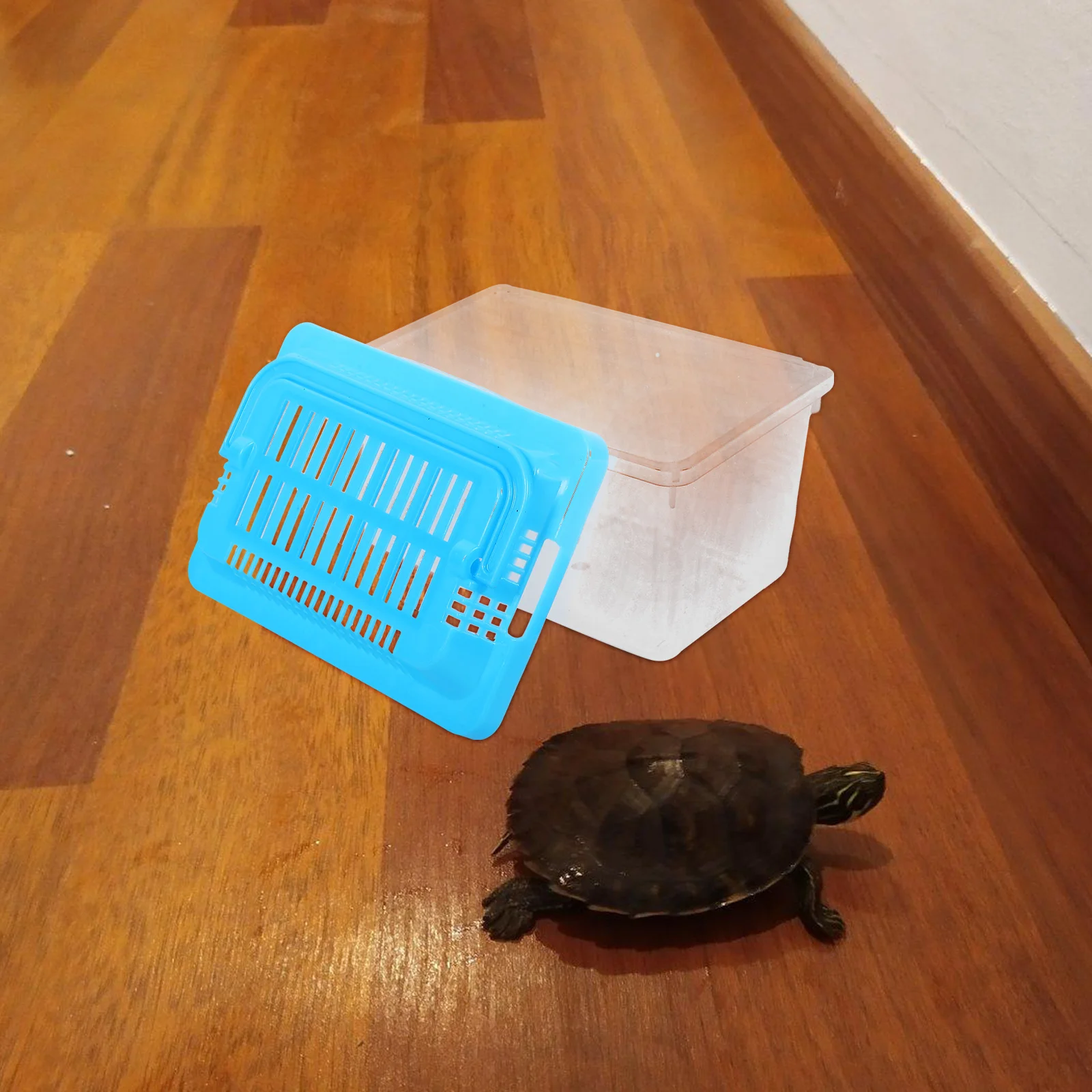 خزان سلحفاة خفيف الوزن، موئل الزواحف المحمول، مادة من الدرجة العالية، بيئة صحية آمنة للسفر في تغذية الأسماك الذهبية