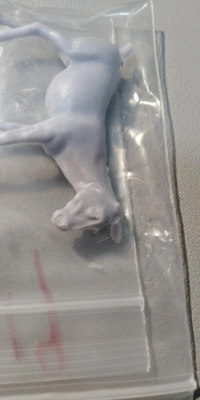 Buyer photo of this resin kit